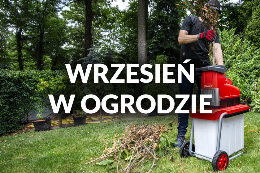 Wrzesień w ogrodzie – jakie prace w ogrodzie przeprowadzić we wrześniu?