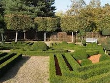 Ogród w stylu francuskim – barokowy przepych w ogrodzie