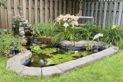 Oczko wodne – wyjątkowa dekoracja ogrodu